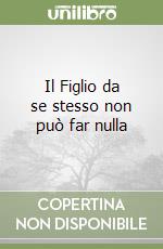 Il Figlio da se stesso non può far nulla libro