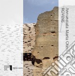 Rovine. Visioni, teorie, restauri del rudere in architettura libro