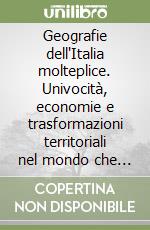 Geografie dell'Italia molteplice. Univocità, economie e trasformazioni territoriali nel mondo che cambia libro