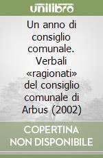 Un anno di consiglio comunale. Verbali «ragionati» del consiglio comunale di Arbus (2002)