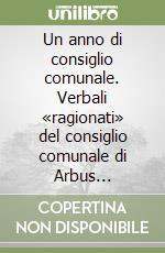 Un anno di consiglio comunale. Verbali «ragionati» del consiglio comunale di Arbus (2003-2004 fino allo scioglimento del consiglio) libro