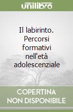 Il labirinto. Percorsi formativi nell'età adolescenziale libro