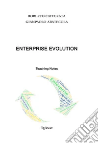 Enterprise evolution. Teaching notes