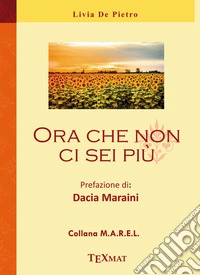 Ora che non ci sei più