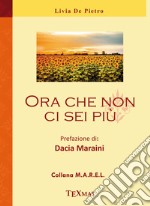 Ora che non ci sei più libro