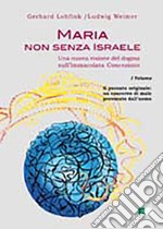 Maria non senza Israele. Una nuova visione del dogma sull'Immacolata Concezione. Vol. 1: Il peccato originale: un coacervo di male provocato dall'uomo