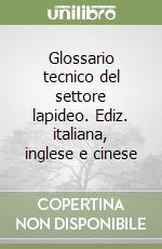 Glossario tecnico del settore lapideo. Ediz. italiana, inglese e cinese libro