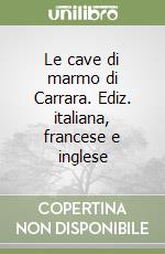 Le cave di marmo di Carrara. Ediz. italiana, francese e inglese libro