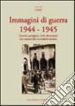 Immagini di guerra 1944-1945. Eserciti, partigiani, civili, distruzioni nei comuni del circondario imolese libro