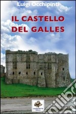 Il castello del Galles