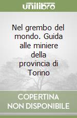 Nel grembo del mondo. Guida alle miniere della provincia di Torino libro