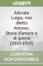 Adorata Luigia; mio diletto Antonio. Storia d'amore e di guerra (1910-1919) libro