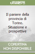 Il paniere della provincia di Torino. Situazione e prospettive libro