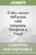 Il lato oscuro dell'acqua nella tempesta. Giorgione e Freud libro