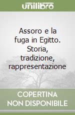 Assoro e la fuga in Egitto. Storia, tradizione, rappresentazione libro