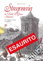 Stregoneria in valle di Susa e dintorni. Un viaggio tra storia e tradizione libro