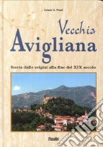 Vecchia Avigliana. Storia dalle origini alla fine del XIX secolo libro