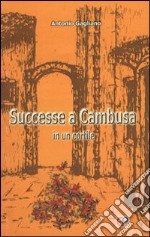 Successe a Cambusa in un cortile libro