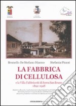 La fabbrica di cellulosa e la Villa Fabbricotti di Serra San Bruno (1892-1928. Ediz. illustrata