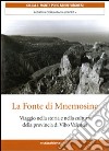 La fonte di Mnemosine. Viaggio nella storia e nella cultura della provincia di Vibo Valenzia. Ediz. multilingue libro