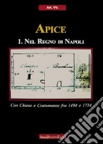 Apice nel Regno di Napoli. Con chiese e costumanze fra 1494 e 1734 libro