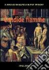 Candide fiamme 1556-1598. Dal viceré La Cueva al viceré Guzman d'Olivares libro