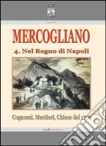 Mercogliano nel regno di Napoli. Cognomi, mestieri, chiese del 1700