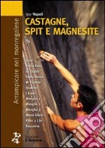 Castagne, spit e magnesite. Arrampicare nel monregalese libro