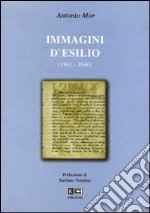 Immagini d'esilio (1941-1946) libro