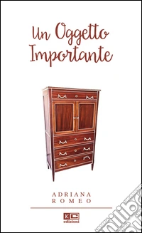 Un oggetto importante libro