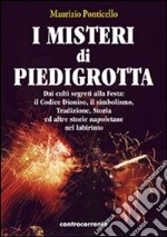 I misteri di Piedigrotta. Dai culti segreti alla festa. Il codice Dioniso, il simbolismo, tradizione, storia ed altre storie napoletane nel labirinto libro