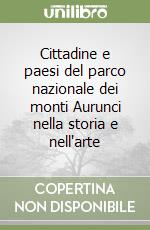 Cittadine e paesi del parco nazionale dei monti Aurunci nella storia e nell'arte libro