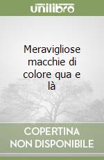 Meravigliose macchie di colore qua e là libro