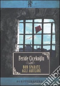 Non sparate agli aquiloni