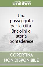 Una passeggiata per la città. Briciolini di storia pontaderese libro