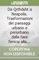 Da Qrthdsht a Neapolis. Trasformazioni dei paesaggi urbano e periurbano dalla fase fenicia alla fase bizantina. Ediz. illustrata libro