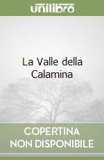 La Valle della Calamina libro