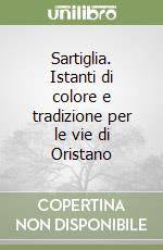 Sartiglia. Istanti di colore e tradizione per le vie di Oristano libro