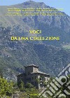 Voci da una collezione. Castello Gamba libro