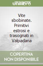 Vite sbobinate. Primitivi estrosi e trasognati in Valpadana libro