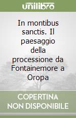 In montibus sanctis. Il paesaggio della processione da Fontainemore a Oropa