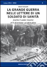 La grande guerra nelle lettere di un soldato di sanità. Anche il veder morire m'è diventata un'abitudine