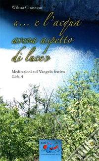 «... E l'acqua aveva aspetto di luce». Meditazioni sul vangelo festivo, ciclo A libro