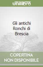 Gli antichi Ronchi di Brescia libro
