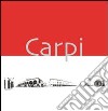 Carpi. Panorami e prospettive. Ediz. illustrata libro