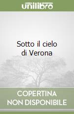 Sotto il cielo di Verona libro