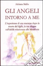 Gli angeli intorno a me. L'esperienza di una mamma dopo la morte del figlio, la sua ricerca sull'aldilà relazionata alla metafonia libro