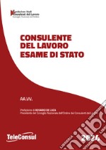 Consulente del lavoro. Esame di Stato. Nuova ediz. libro