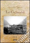 La gefiancoj libro