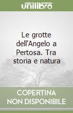 Le grotte dell'Angelo a Pertosa. Tra storia e natura libro